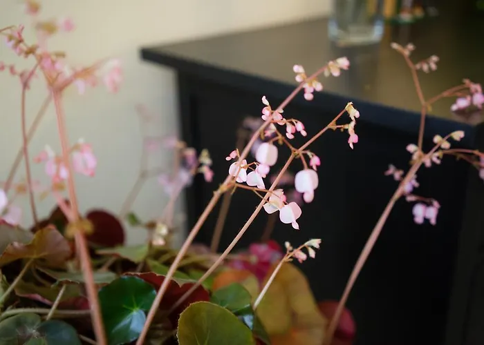 Hotel Rural Auristela Villapedre